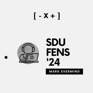 SDU FENS '24