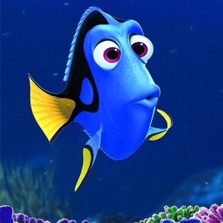 DORY