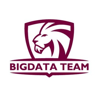 BigData Team (BDT)